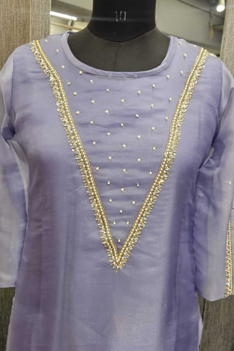 Premium Tissue Organza Kurta Set - Image 4