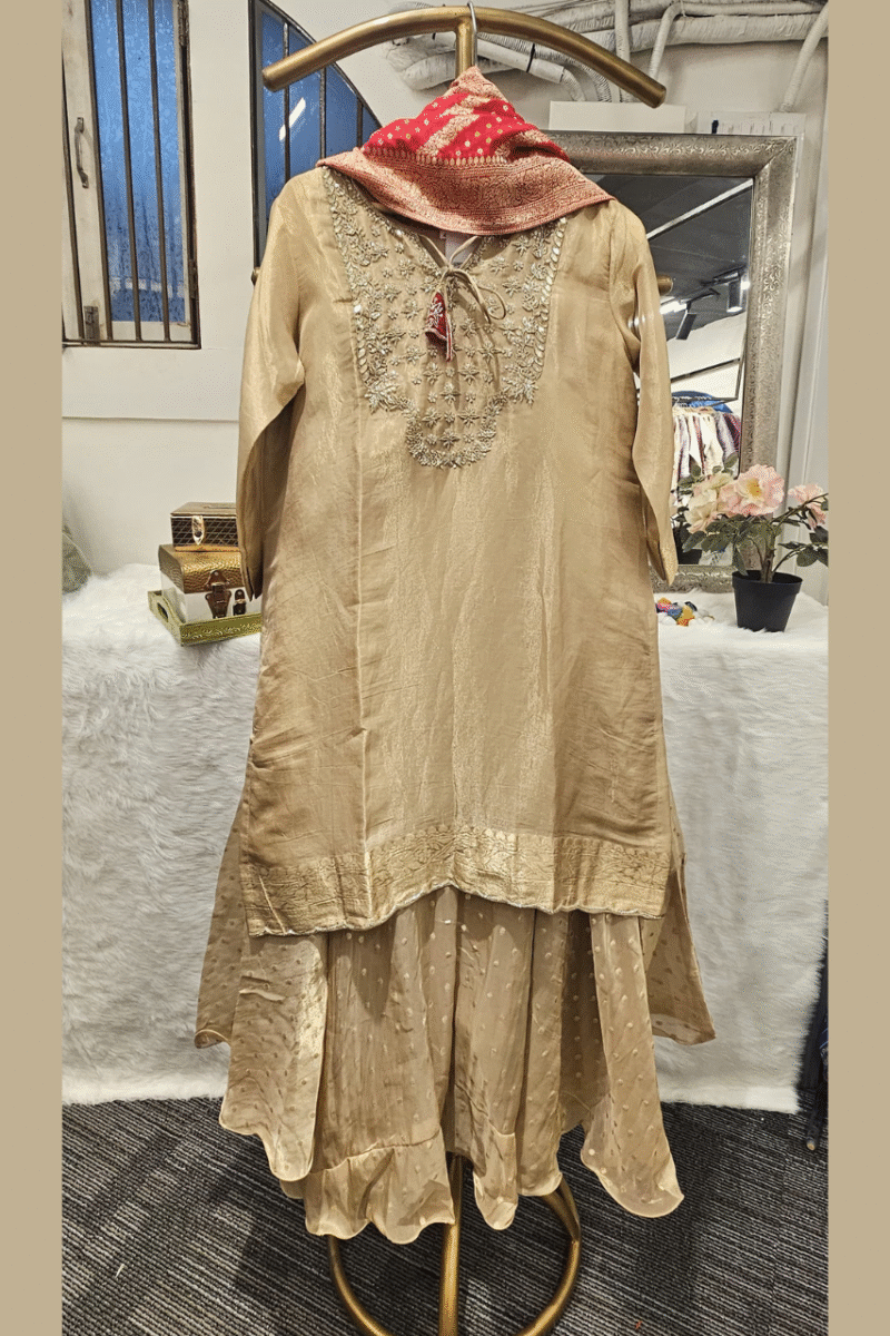Banarasi Kurti Plazzo Set With Gotta work - Image 3