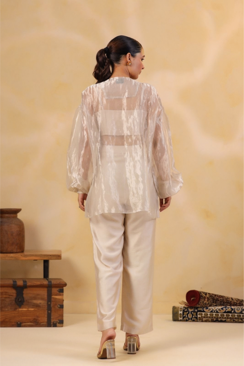 Shimmer Tissue Co-ord Set With Thread And Applique Embroidery - Image 4